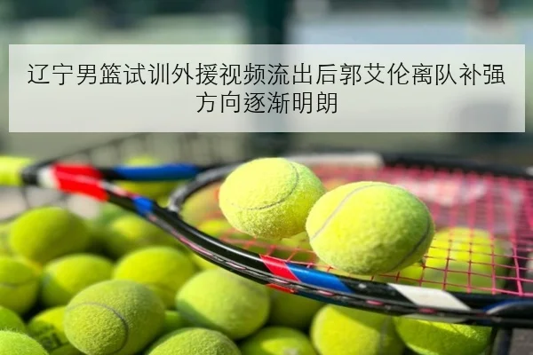 辽宁男篮试训外援视频流出后郭艾伦离队补强方向逐渐明朗